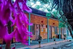 Gypsy Hostel DORMS and PRIVATE ROOMS