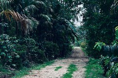 Anya Retreats Nature homestay Coorg