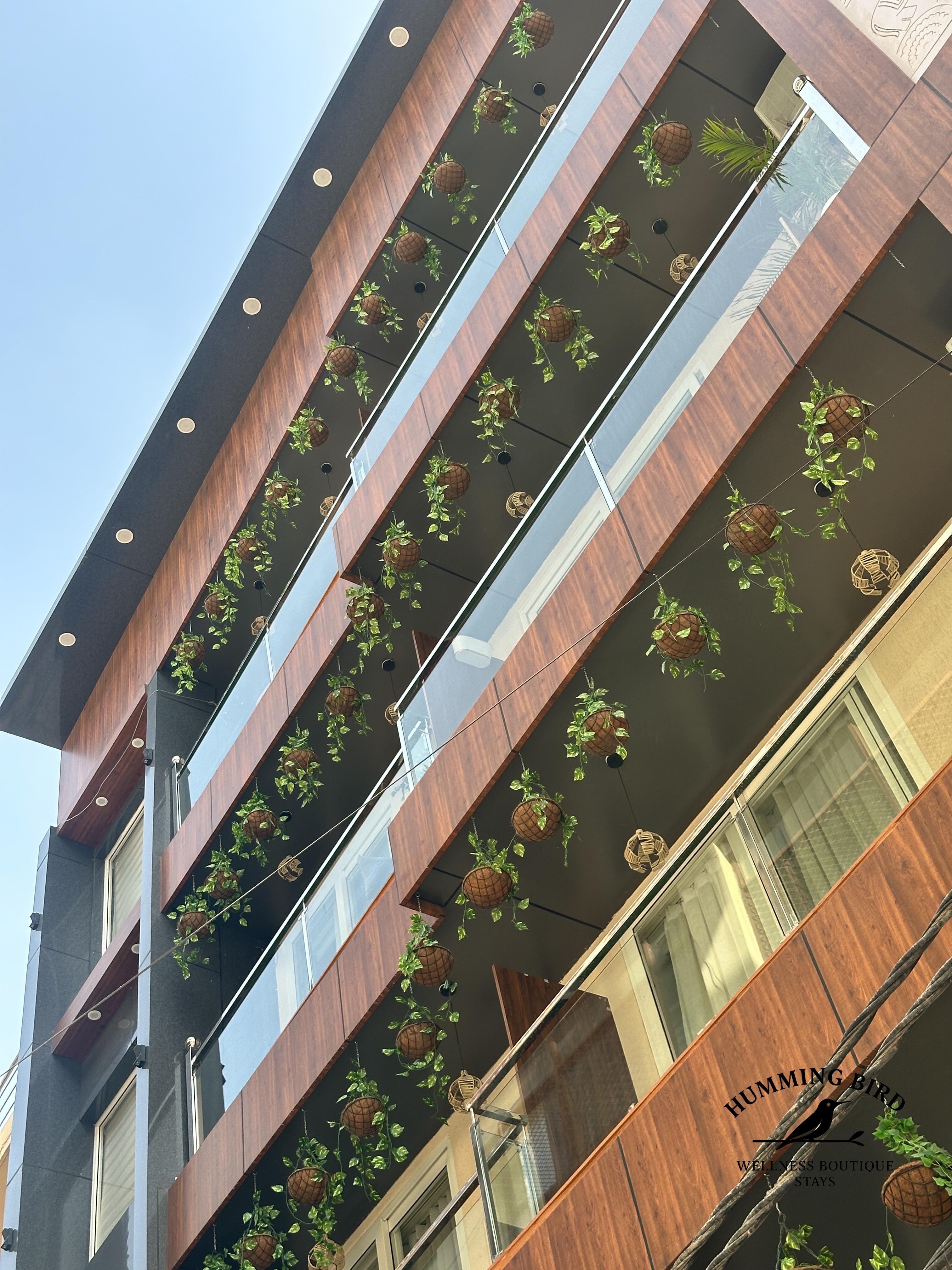 Humming Bird Rishikesh - Tap to explore photos