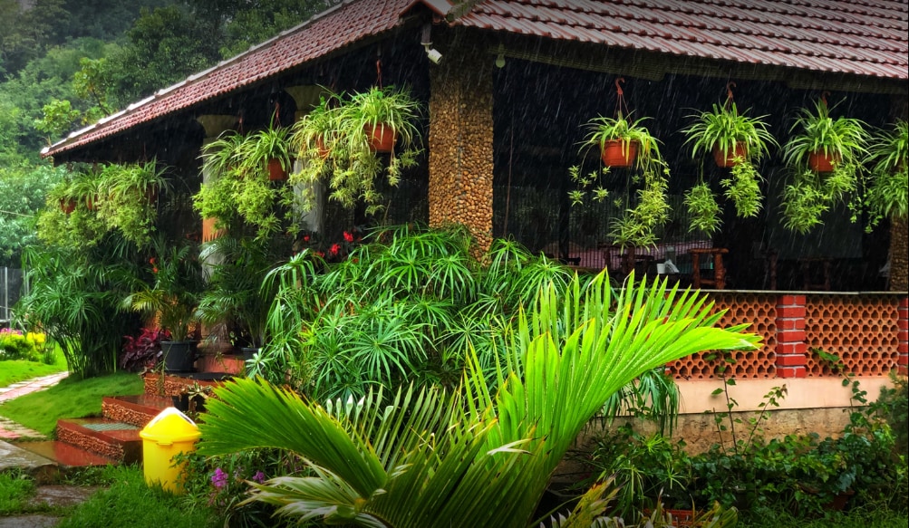 Streamedge Homestay | Rooms & Restaurant - Tap to explore photos