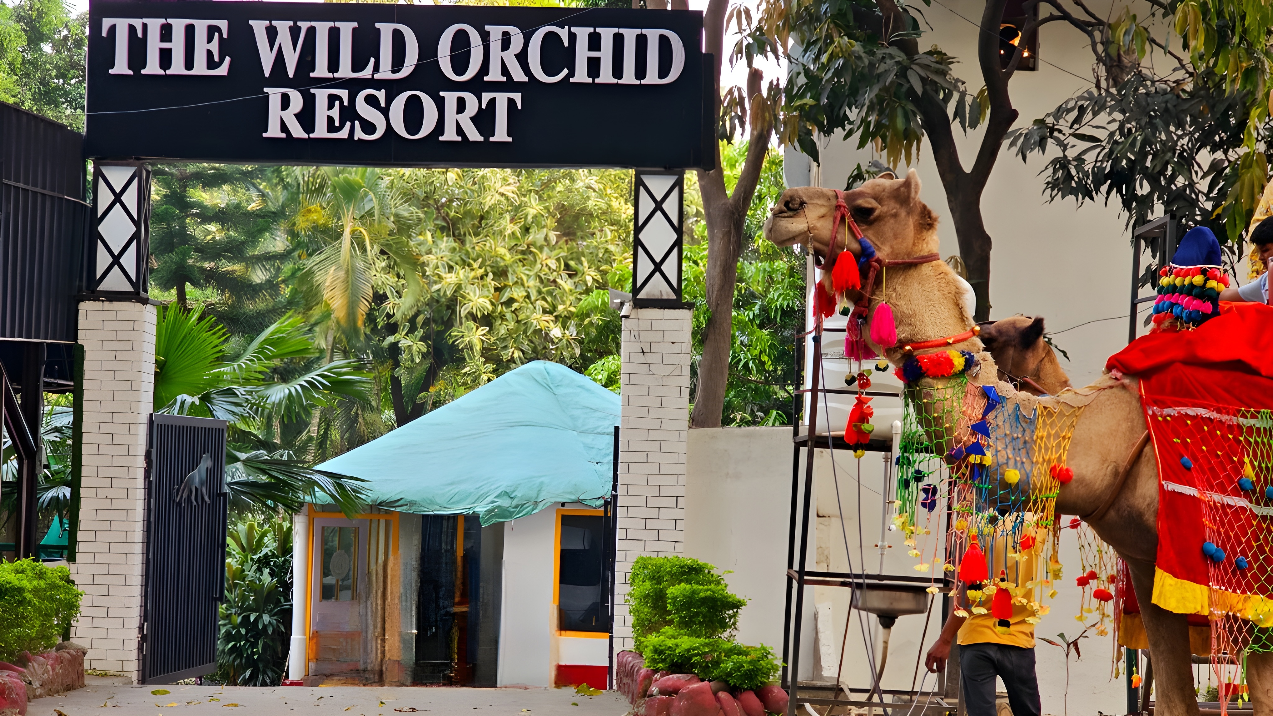 The Wild Orchid Resort Corbett - Tap to explore photos