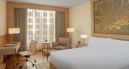 Radisson Blu New Delhi Dwarka Room Type - Superior Room