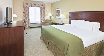 Holiday Inn Express Hotel & Suites Brownfield, an IHG Hotel Room Type - 1 King Standard