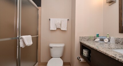 Holiday Inn Express & Suites GLOBE Room Type - 1 King Bed Standard