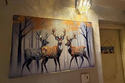 Mountain Glory - mussoorie