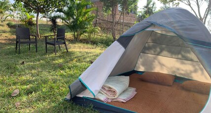 Ecoland Farms Room Type - Camping Tent
