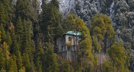 The Bird's Hostel | Mountain-view Rooms Room Type - 4 Bed Mixed Dorm