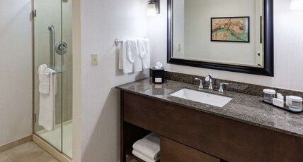 Embassy Suites Anchorage Room Type - 1 KING SPEC STE-HOT TUB NS