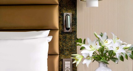 The Artisan Istanbul MGallery Room Type - The Bosphorus Suite