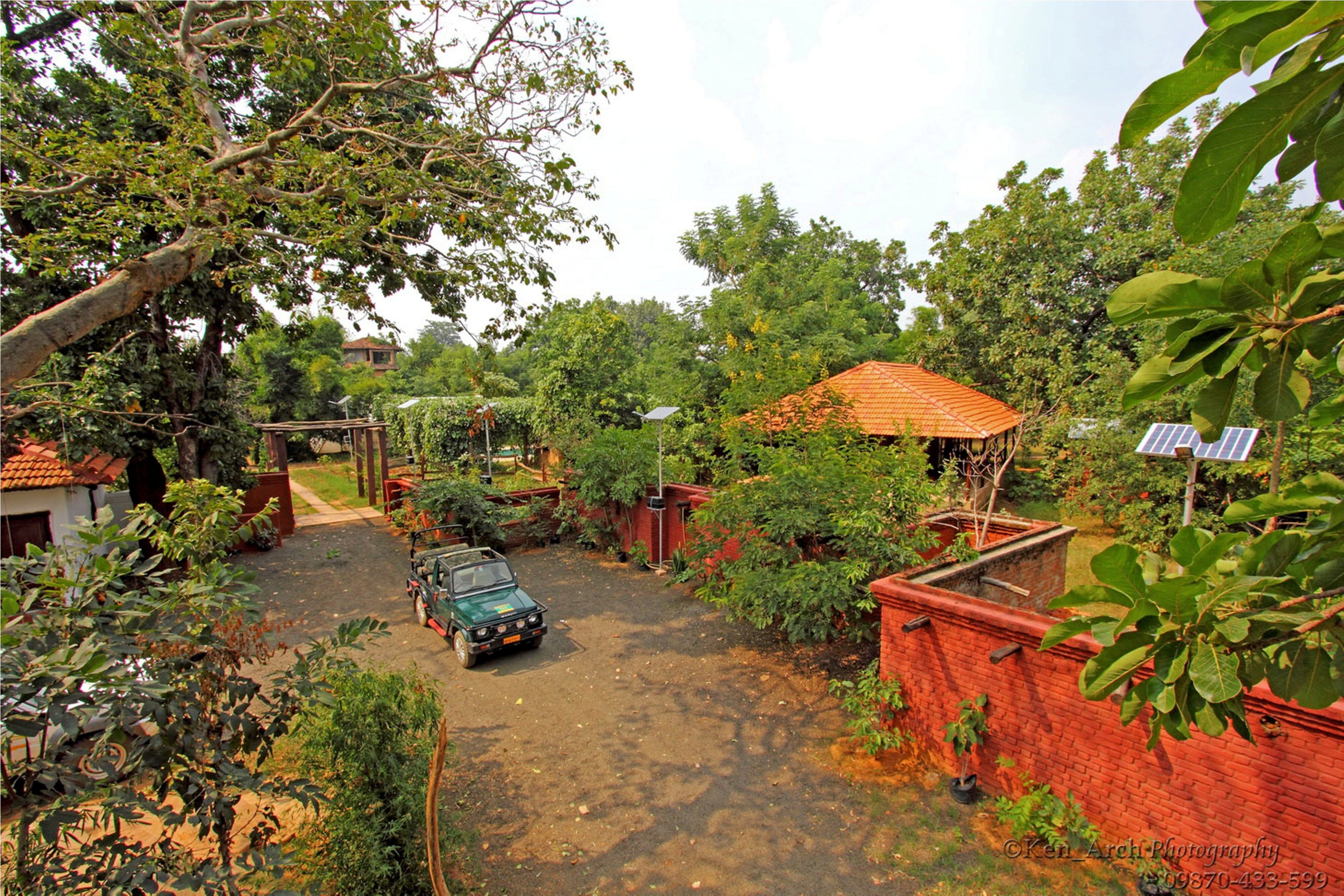 Monsoon Forest (Bandhavgarh) - Tap to explore photos
