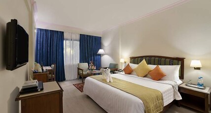 Radha Regent - A Sarovar Hotel Room Type - Superior Room