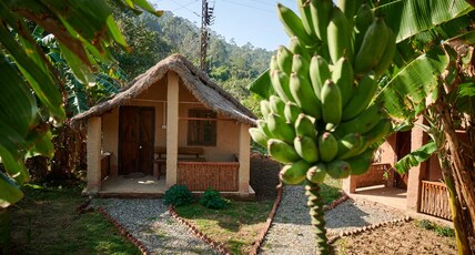 White Clover Room Type - Hut