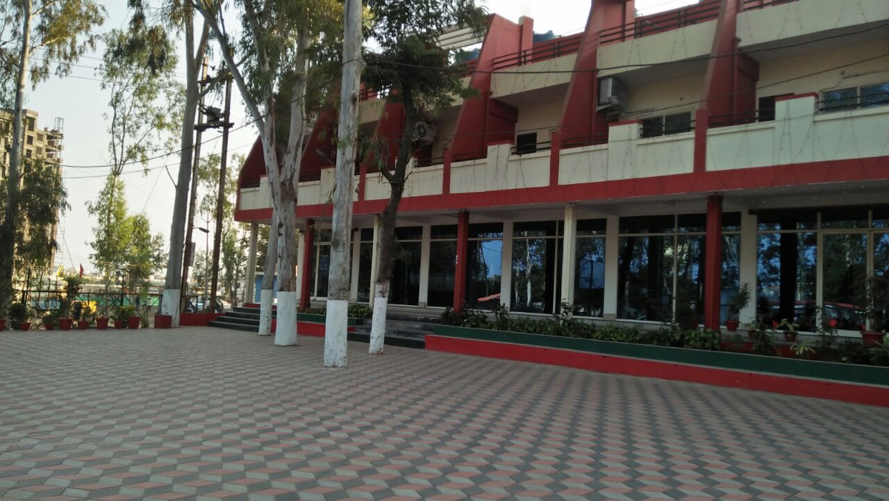 Main gallery