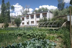 Kushu Guest House | Your Cozy Haven with Personalized Care