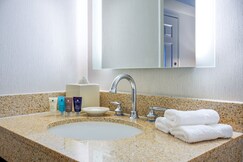 Crowne Plaza NEW ORLEANS FRENCH QUARTER