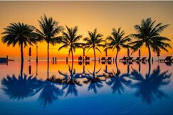 Sun Viet Resort Beach & Spa