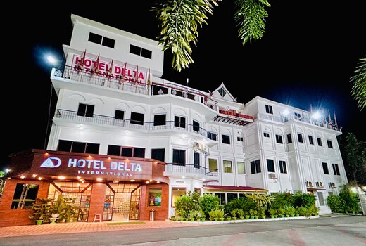 Hotel Delta International