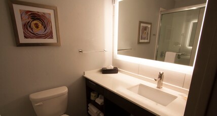 Holiday Inn ALEXANDRIA - DOWNTOWN Room Type - 1 King Standard