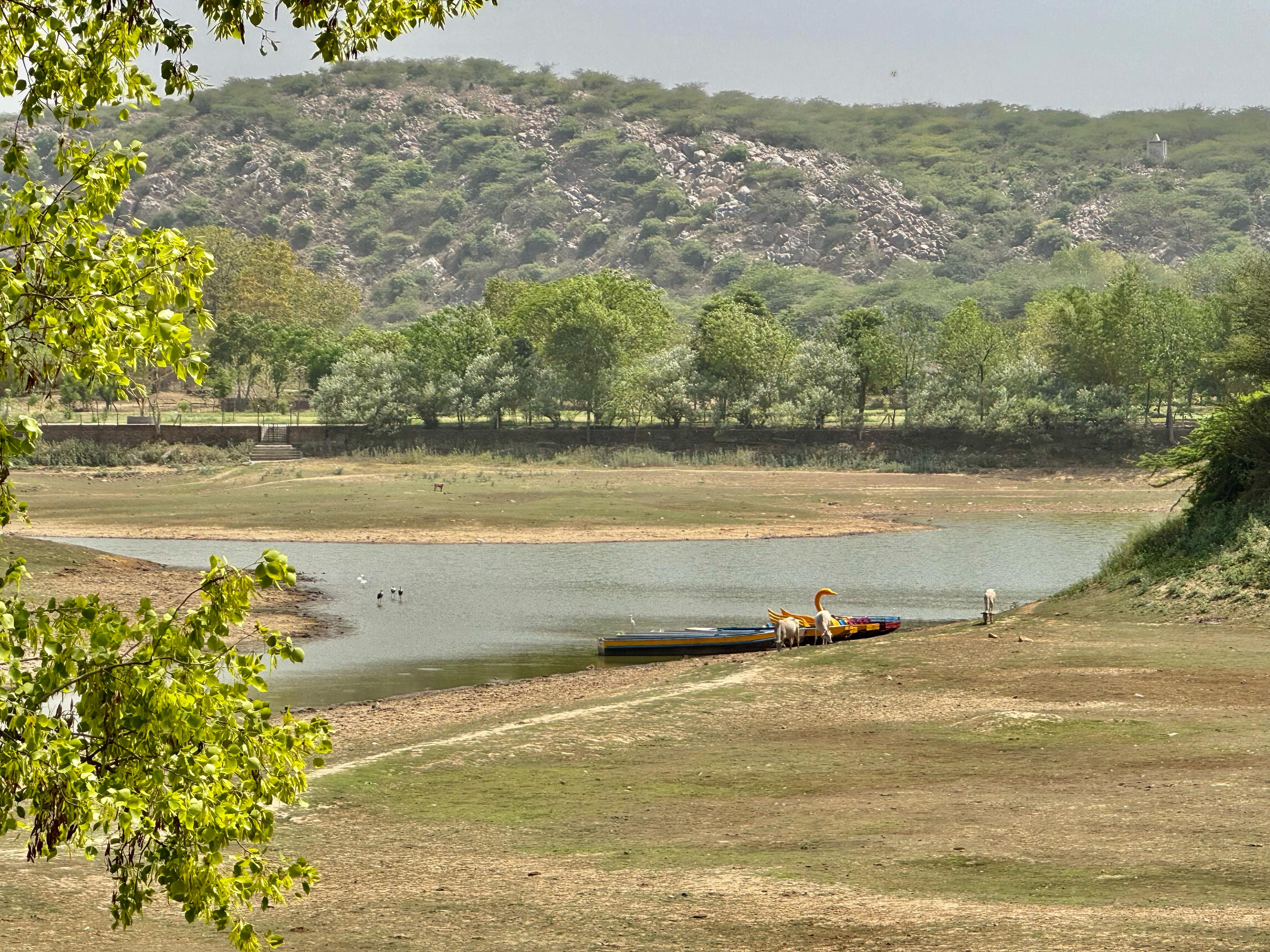 Saras Tourist Resort , Gurgaon - Tap to explore photos