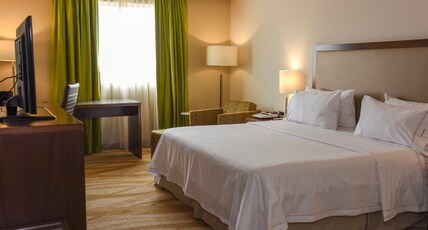 Holiday Inn Express & Suites CELAYA Room Type - 1 King Standard