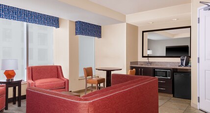 Hampton Inn & Suites by Hilton Madison / Downtown Room Type - 1 KING WHIRLPOOL SUITE NS