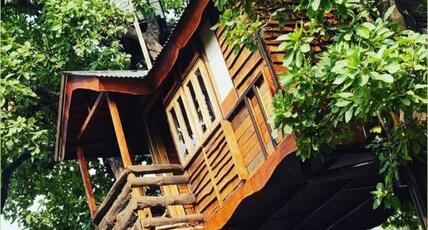 TULSI DHARA RESORT Room Type - Tree house