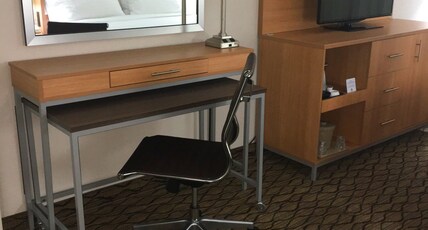 Holiday Inn Miami Beach - Oceanfront, an IHG Hotel Room Type - 2 Double Beds Standard