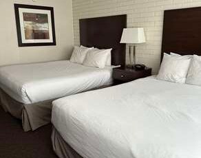 Best Western Cedar Park Inn Room Type - 2 Queen Beds, Non-Smoking, Pet Friendly Room, Refrigerator, Wi-Fi, Full Breakfast Best Western Cedar Park Inn Room Type - 2 Queen Beds, Non-Smoking, Pet Friendly Room, Refrigerator, Wi-Fi, Full Breakfast