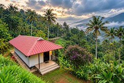 Miracle Valley,Munnar