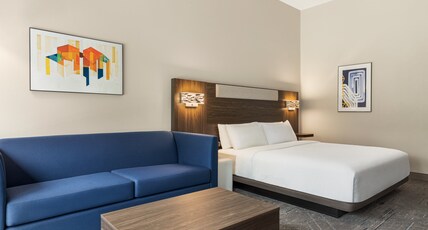 Holiday Inn Express & Suites RHINELANDER Room Type - 1 King Suite