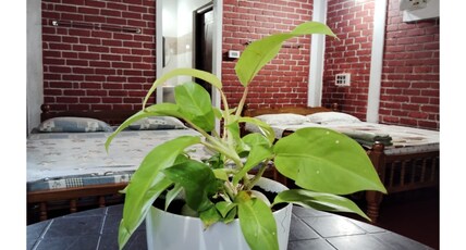 Gruham Malpe Homestay Room Type - Cottage