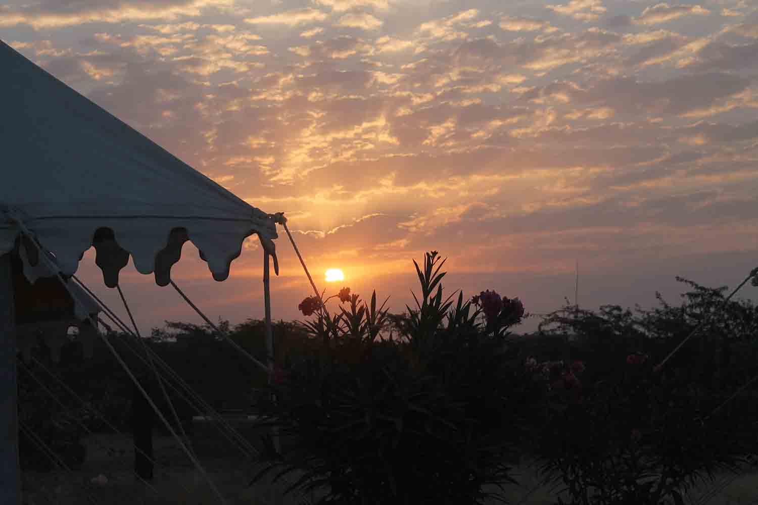 The Safari Resort - Tap to explore photos