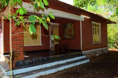 Delight view planters