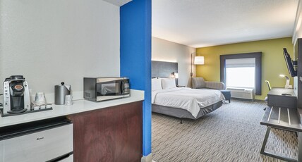 Holiday Inn Express Hotel & Suites Clearwater US 19 North Room Type - 1 King Standard Communications Accessible Tub