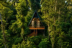 Cascara Coffee Cottages