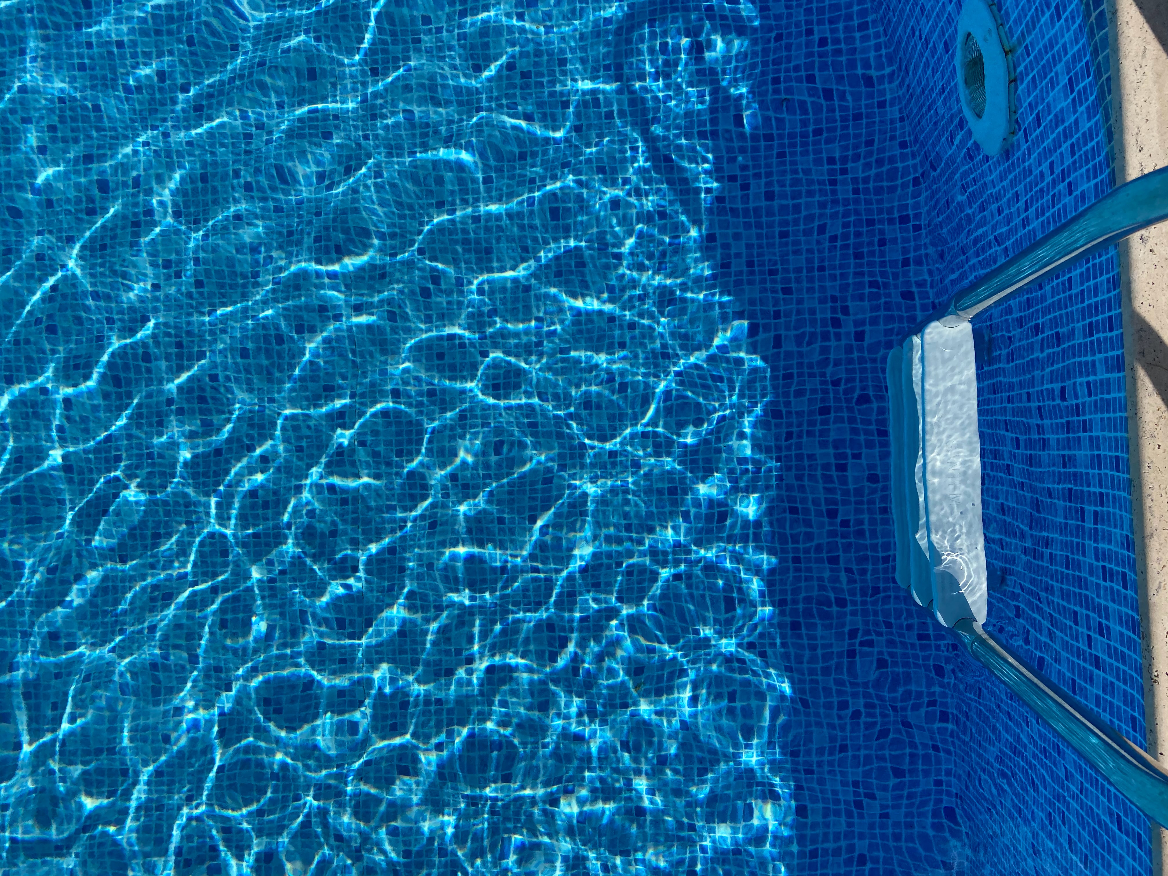 Novotel Chennai Chamiers Road - Tap to explore photos