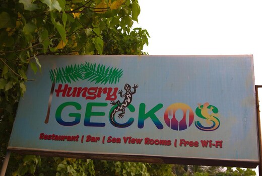 Hungry Geckos
