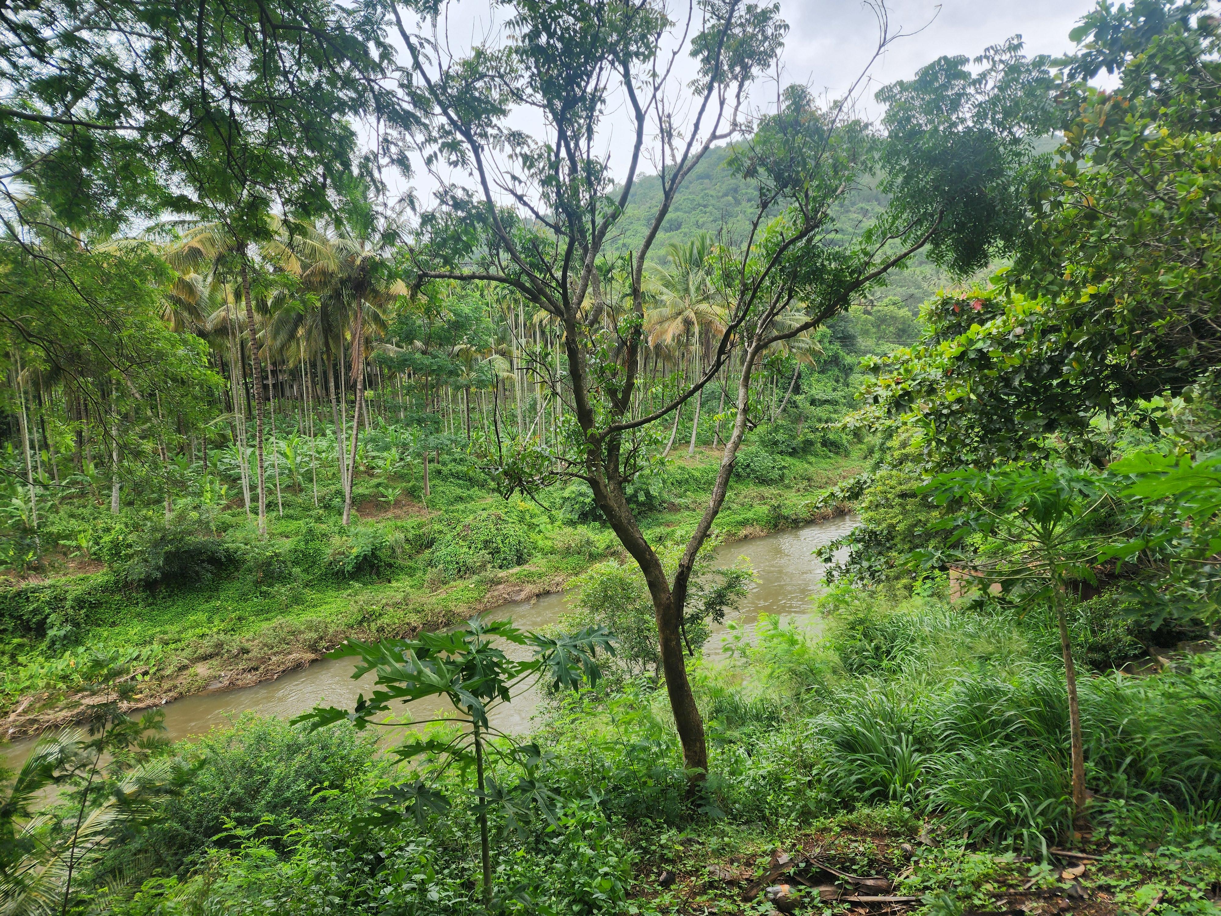 Siruvani River Retreat - Tap to explore photos