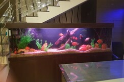 Hotel Aswathy