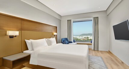Radisson Hotel Nathdwara Room Type - Superior Valley view Room
