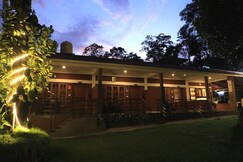 Avocado Cottages | Rooms & Kitchen