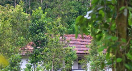 Stayatanns Hill Stay Room Type - Stayatanns Hill Stay