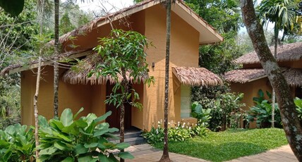 Maple Ash Resort Room Type - Tropical Villa