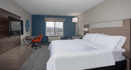 Holiday Inn Express Hotel & Suites Grand Junction Room Type - 1 King Sofa Bed