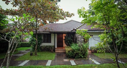 Misty Grove, Nadugani (30 kms from Masinagudi) Room Type - Deluxe room