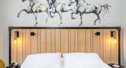 Mercure Bords De Loire Saumur Room Type - Classic non-smoking queen size bed room overlooking the river