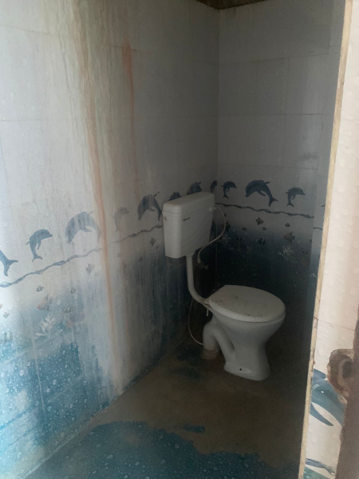 Pari Inn Guest House - Tap to explore photos