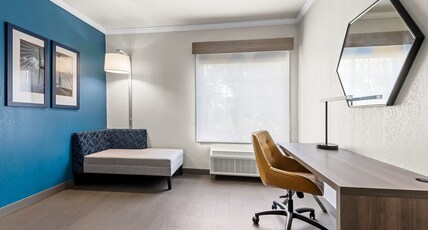 Holiday Inn Express Saint Simons Island Room Type - 1 King Standard