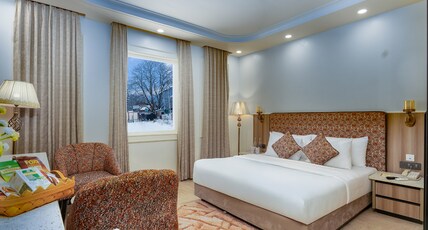 FAIZ ORGANIC RESORT Room Type - Deluxe Room Mountain View