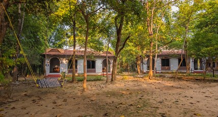 Jungle King Resort Room Type - Jungle Twin Cottage